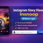 Instagram Story Viewer Insnoop