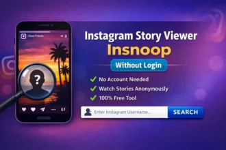 Instagram Story Viewer Insnoop